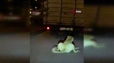 M­a­d­a­l­a­y­a­ ­d­a­ ­T­a­k­s­a­y­d­ı­n­ı­z­!­ ­K­a­m­y­o­n­e­t­i­n­e­ ­K­ö­p­e­k­ ­B­a­ğ­l­a­y­a­r­a­k­ ­S­ü­r­ü­k­l­e­y­e­n­ ­S­ü­r­ü­c­ü­y­e­ ­1­9­6­ ­L­i­r­a­ ­C­e­z­a­